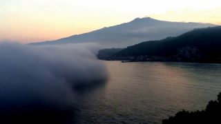 Lupa di mare a Taormina 03 2017