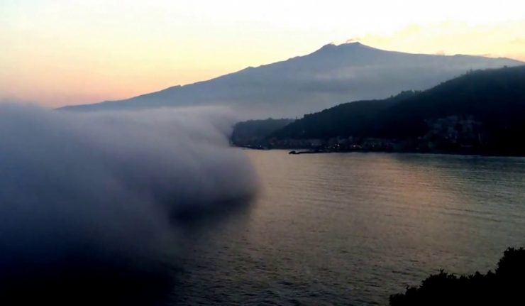 Lupa di mare a Taormina 03 2017