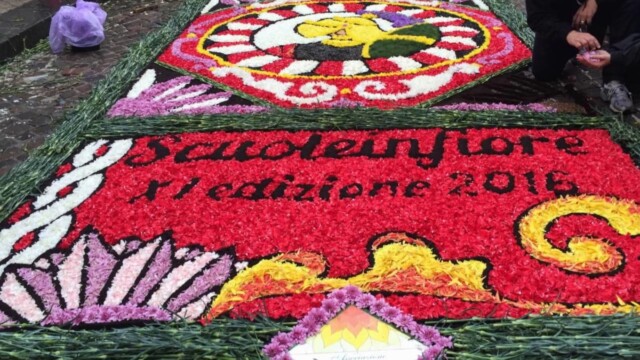 &quot;Scuoleinfiore&quot; 2016 - Infiorata dei ragazzi -