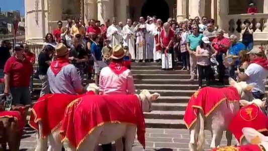 Palazzolo Acreide, la benedizione degli animali alla festa di San Paolo Palazzolo Acreide, la benedizione degli animali alla festa di San Paolo