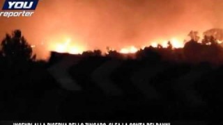 INCENDI ALLA RISERVA DELLO ZINGARO, SI FA LA CONTA DEI DANNI INCENDI ALLA RISERVA DELLO ZINGARO, SI FA LA CONTA DEI DANNI