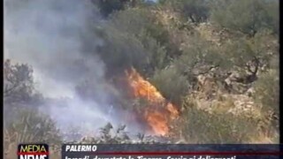 Incendio allo Zingaro, metà riserva è andata in fumo Incendio allo Zingaro, metà riserva è andata in fumo