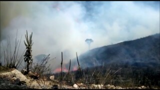 Incendio a Messina